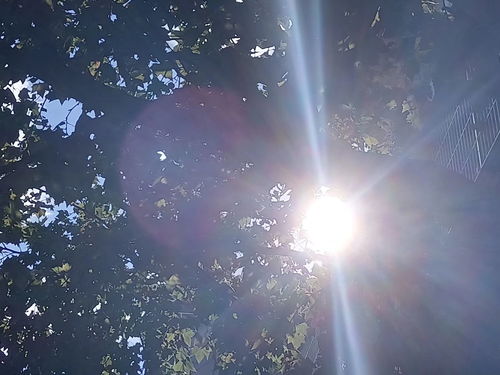 用太阳和星星描述爱情 太阳和星星的关系比喻
