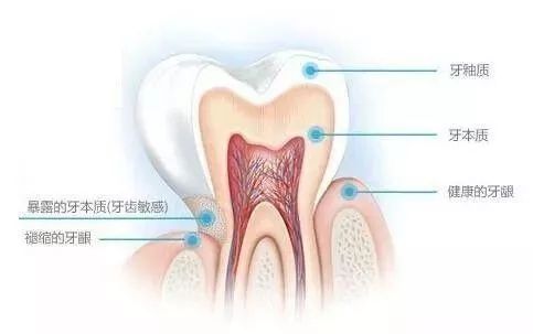 女朋友的牙齿总是碰到我