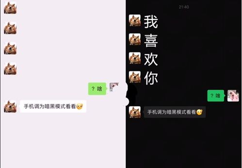 深色模式表白表情包下载