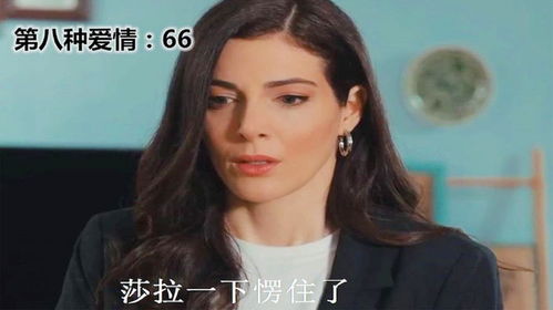 第八种爱情40集 黎剧第八种爱情完整版