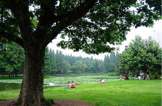 青岛中山公园相亲角时间地点 青岛相亲群 哪个比较真实