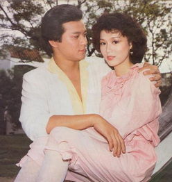 黄日华妻子梁洁华 黄日华为什么不娶翁美玲