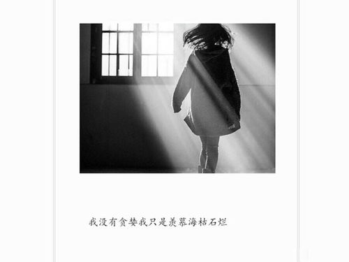 黑白色代表什么爱情暗示 黑白表达哪些情感